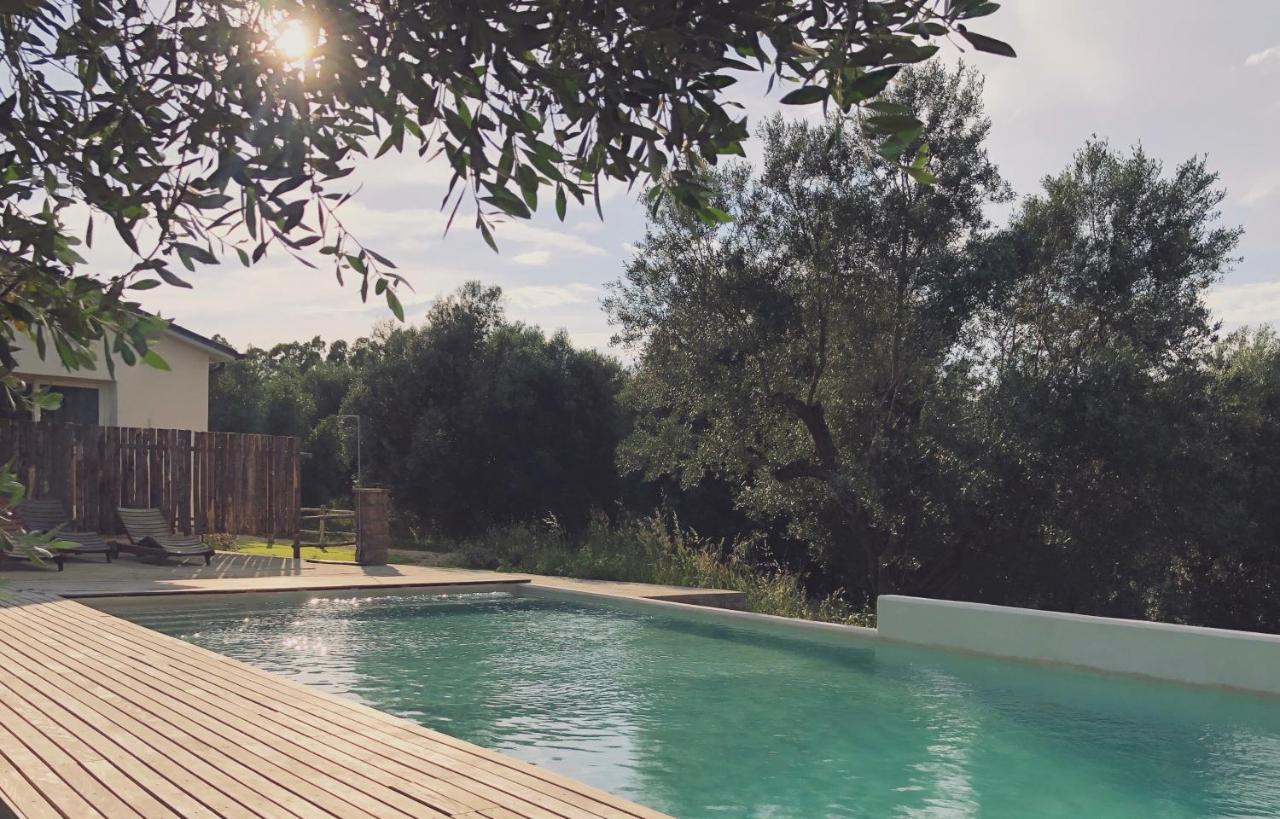 Agriturismo Casette Del Forno Montalto di Castro Kültér fotó