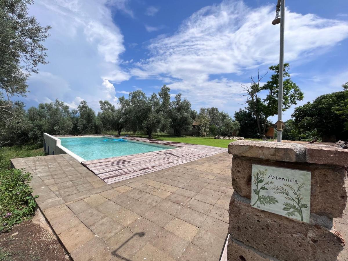 Agriturismo Casette Del Forno Montalto di Castro Kültér fotó